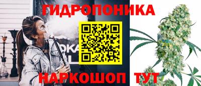 таблы Краснознаменск