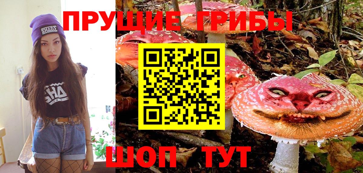 закладки  Псилоцибиновые грибы мухоморы  Вход с VPN  Улан-Удэ 